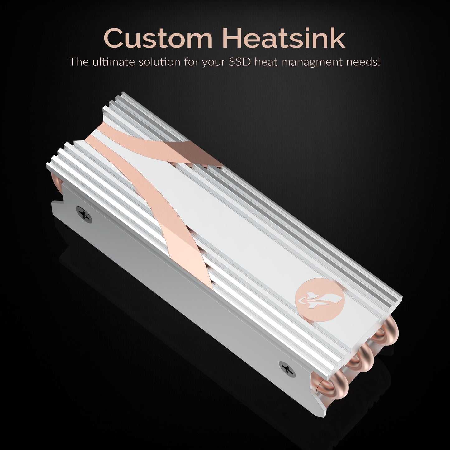 SABRENT M.2 2280 SSD Rocket Heatsink in Silver (SB-HTSS)