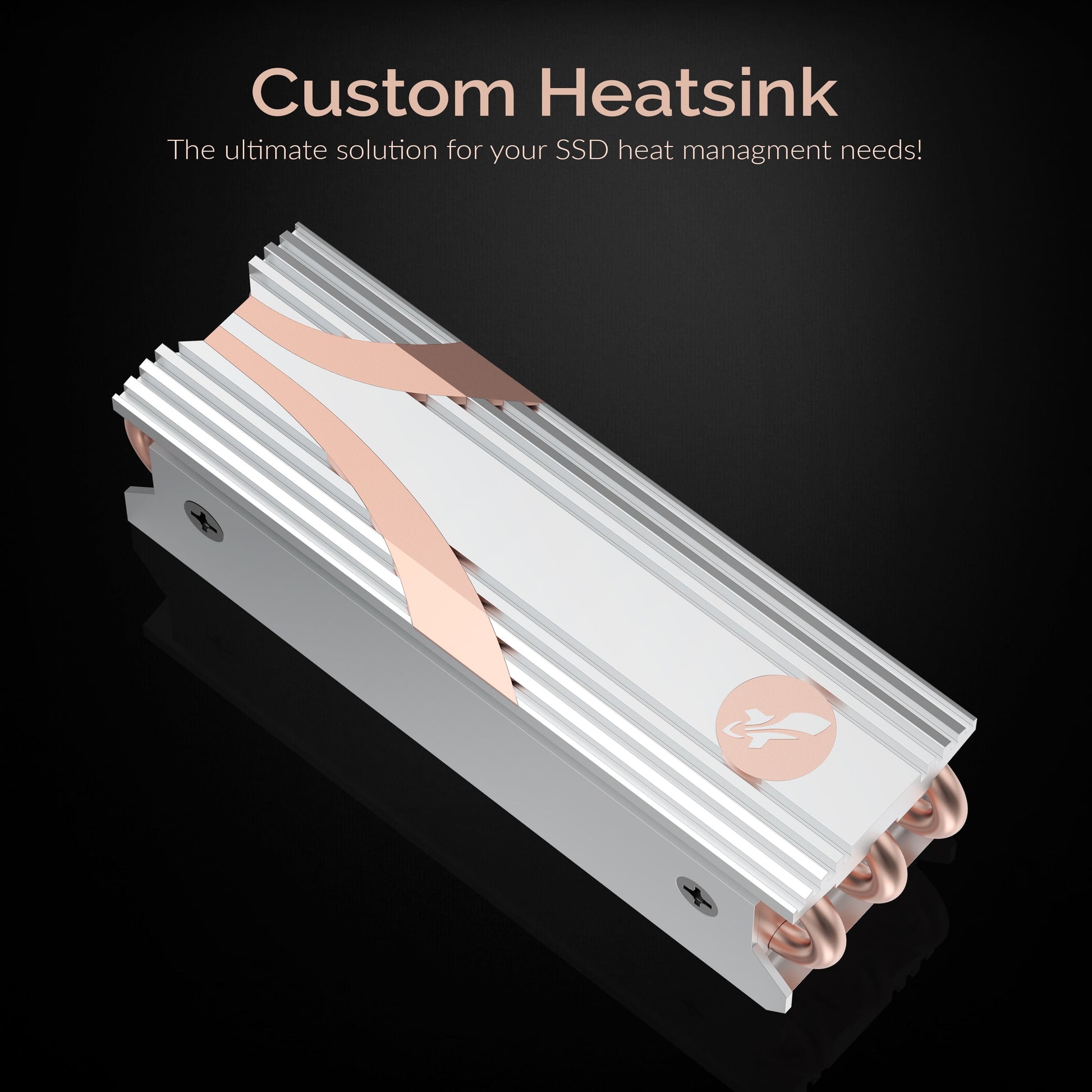 SABRENT M.2 2280 SSD Rocket Heatsink in Silver (SB-HTSS)